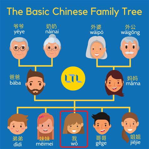 siblings in chinese|Family Vocabulary in Chinese: Parents, Siblings, and .